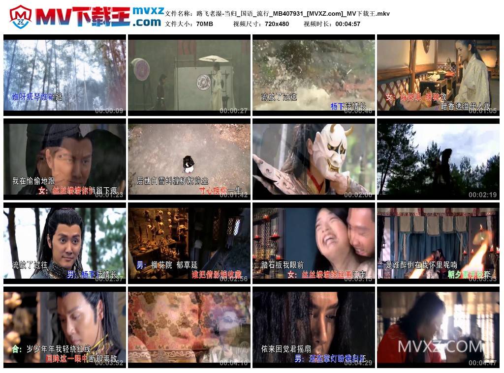 路飞老湿-当归_国语_流行_MB407931
